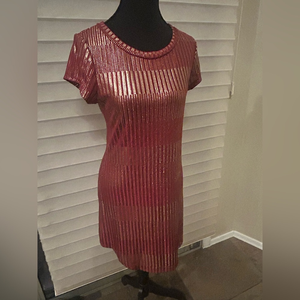 Fig & Olive Red and Gold Striped Dress
